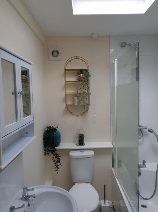 Appartement Two Bed Flat Sea View Old Town Hastings Extérieur photo